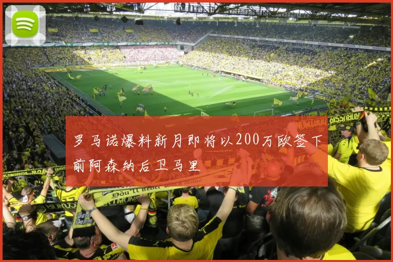 罗马诺爆料新月即将以200万欧签下前阿森纳后卫马里