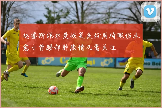 赵睿斯佩尔曼恢复良好周琦眼伤未愈小曾腰部肿胀情况需关注