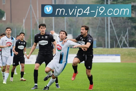 九游会APP 封面图